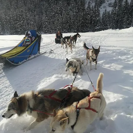 Penthouse L'ourse Bleue - Sauna Privatif - Acces Direct Aux Pistes Courchevel