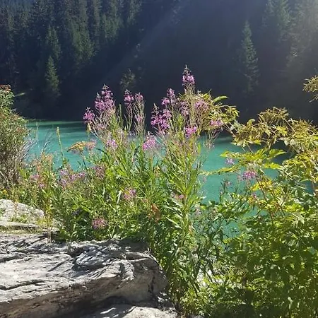 Penthouse L'ourse Bleue - Sauna Privatif - Accès Direct Aux Pistes Courchevel