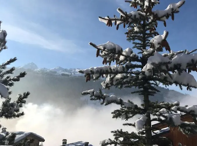 Penthouse L'ourse Bleue - Sauna Privatif - Acces Direct Aux Pistes Daire Courchevel