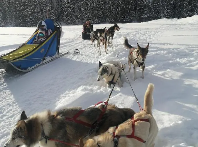 Penthouse L'ourse Bleue - Sauna Privatif - Acces Direct Aux Pistes Courchevel